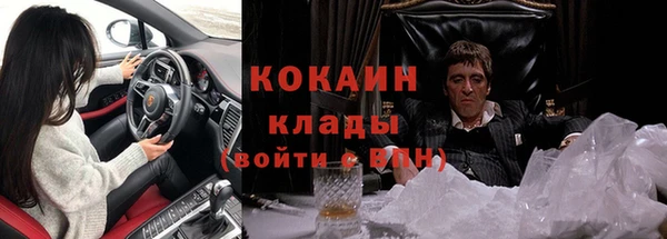 тгк Алексин