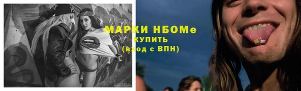 прущие грибы Алзамай
