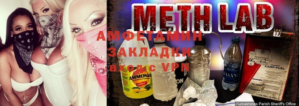 прущие грибы Алзамай