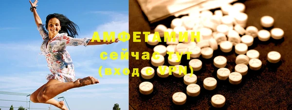 прущие грибы Алзамай