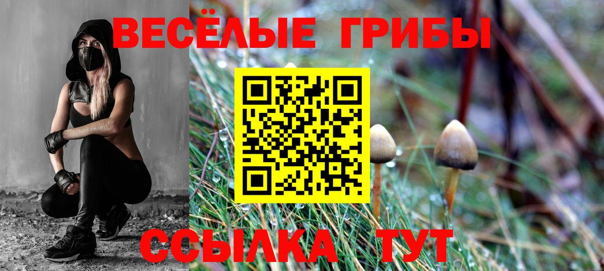 Псилоцибиновые грибы GOLDEN TEACHER  Галлюциногенные грибы мицелий  купить наркоту  Кизилюрт  Вход с VPN 